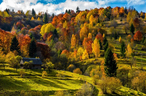 Opuszczony dom drewniany jesienią na wzgórzu — Zdjęcie stockowe