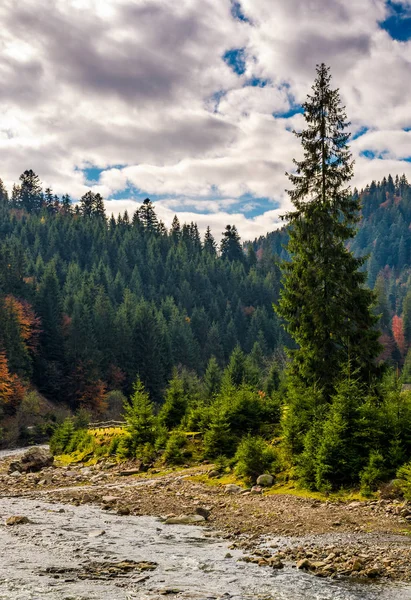 Las rzeka w jesiennych krajobrazów — Zdjęcie stockowe