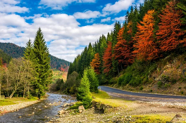 Forest river in de weg in de herfst landschap — Stockfoto