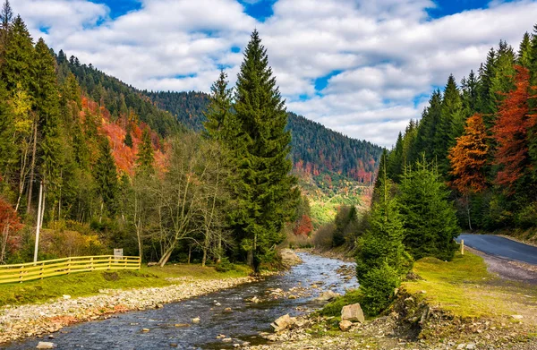 Řeka v podzimní krajině s smrkových lesů — Stock fotografie