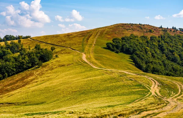 Alp dağ sırtı yol