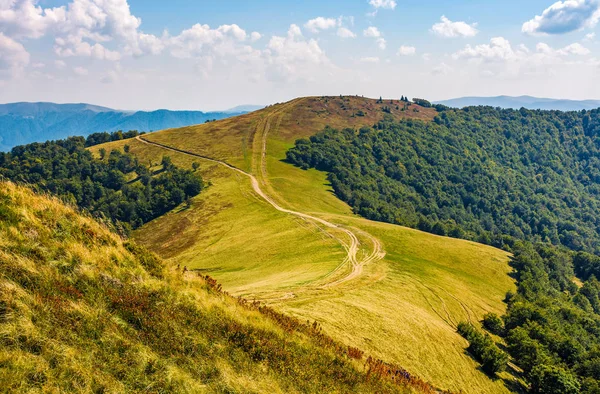 otsu çayır dağ sırtı üzerinde yol