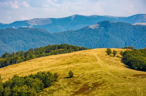 Cesta přes zvětralý travnaté horská louka — Stock fotografie