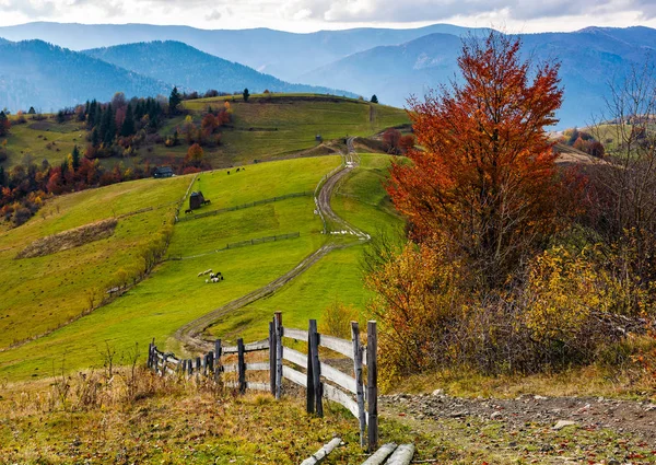 Hermoso profundo otoño paisaje rural — Foto de Stock