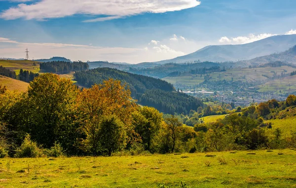 Wald am Hang in herbstlicher Landschaft — Stockfoto