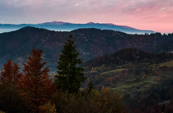 Magnifique matinée brumeuse dans les montagnes — Photo