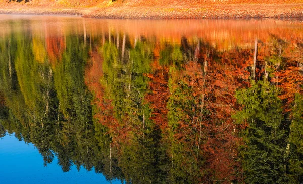 Göl sonbahar orman yansıması