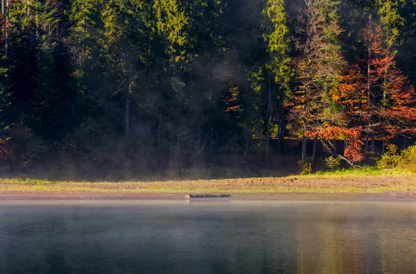 Mgła nad jeziorem w lesie autumnal — Zdjęcie stockowe