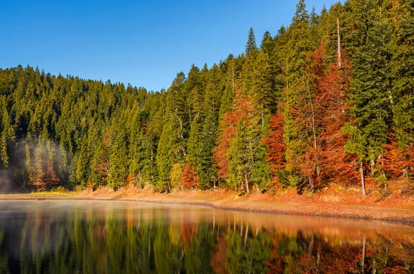 sonbahar sabahı sis orman göl kenarında
