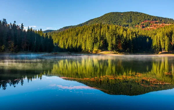 Lago fumoso riflettono foresta montagna e cielo blu — Foto Stock