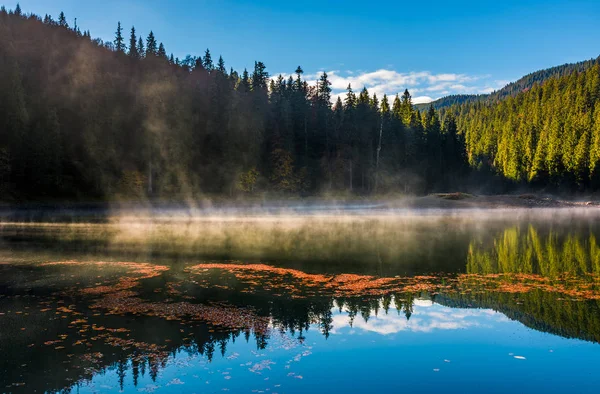 Brouillard se lever du lac forestier dans les montagnes — Photo