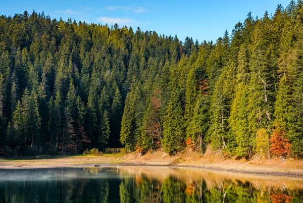 puslu dağlar gölde ile iğne yapraklı orman