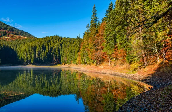 Orman dağ gölü çevresinde peyzaj