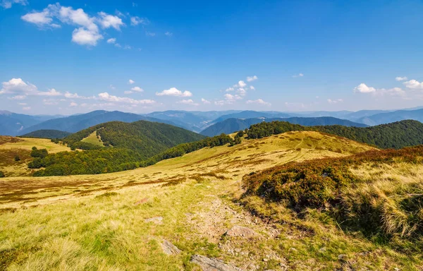 sonbaharda bir yamaca otsu çayır