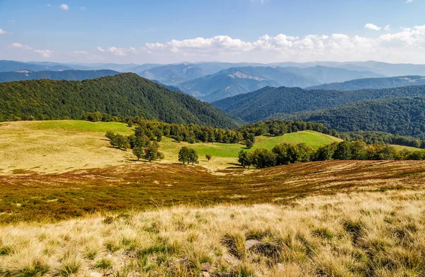 Prado gramado em uma encosta em outono — Fotografia de Stock