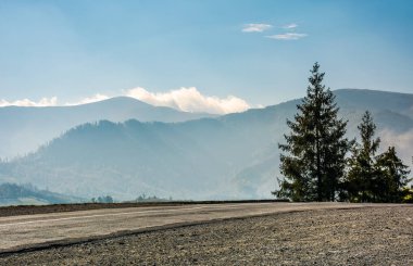 Yolun yüksek dağlarda Ladin ağaçlarıyla