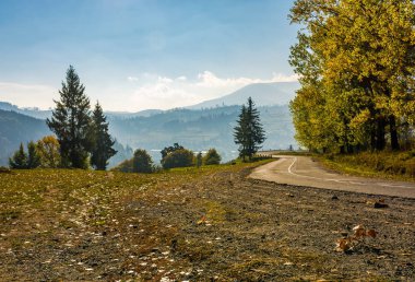 serpentine sonbahar günü ağaçta