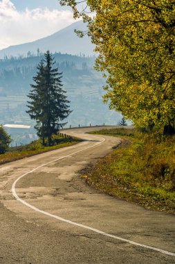 serpentine sonbahar günü ağaçta