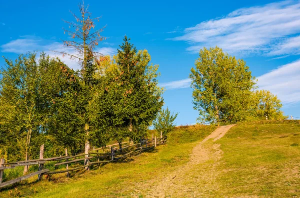 Tree on a hillside behind the fence — Stock Photo, Image