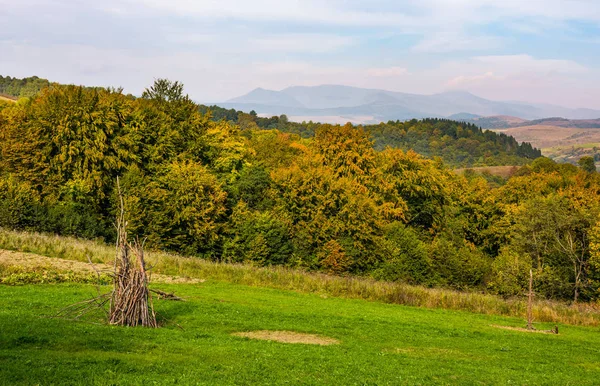 Champs herbeux ruraux sur les collines des Carpates — Photo