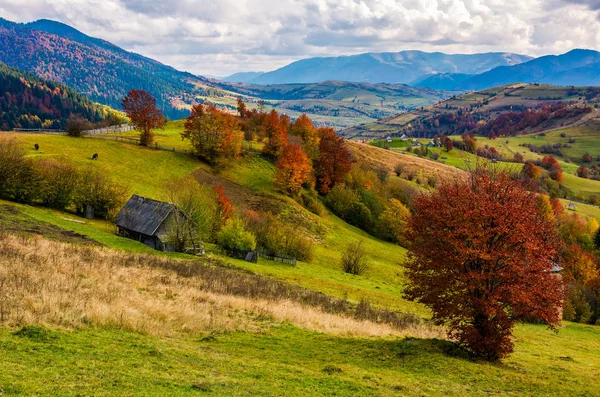 Splendido paesaggio rurale in montagna — Foto Stock