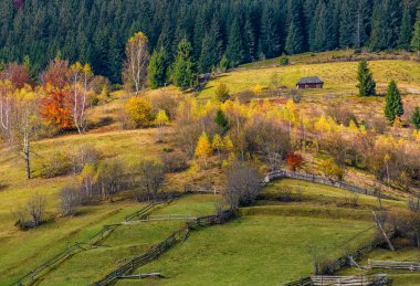 forest yakınındaki yamaca tarım alanları
