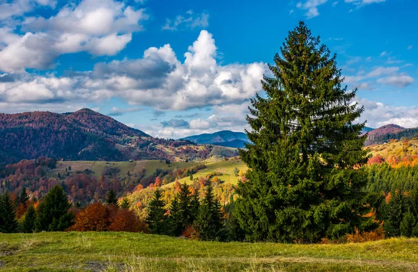 Sonbaharda muhteşem dağlık manzara — Stok fotoğraf