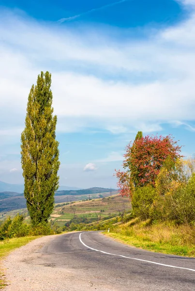 Asfaltowa droga kraju przez wzgórza z drzew — Zdjęcie stockowe