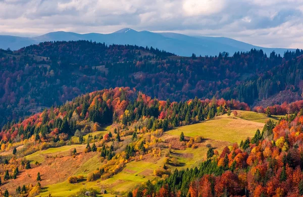Nádherný horský hřeben za lesem na kopcích — Stock fotografie