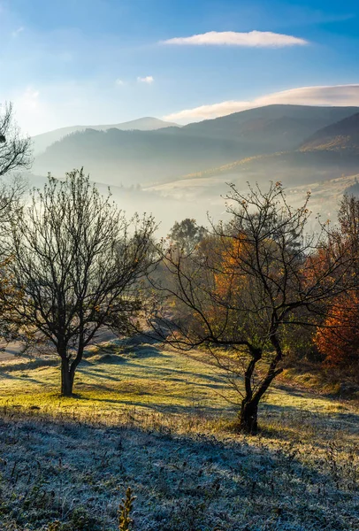 Elma bahçesi sonbahar gündoğumu, dağlarda — Stok fotoğraf