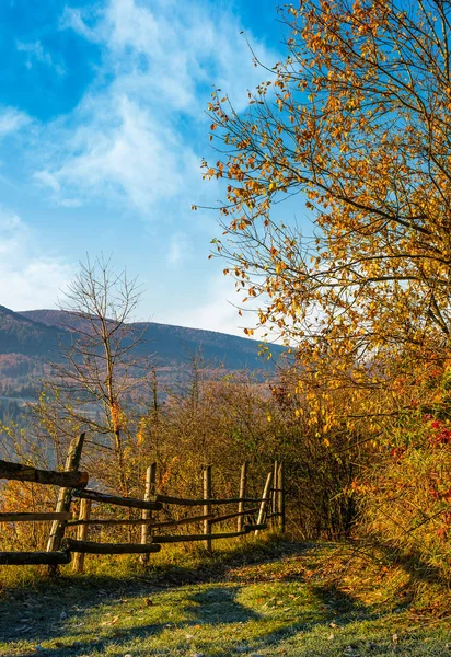 Tregjerde nær skog i fjell – stockfoto