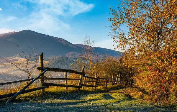 Dağlarda forest yakınındaki ahşap çit — Stok fotoğraf