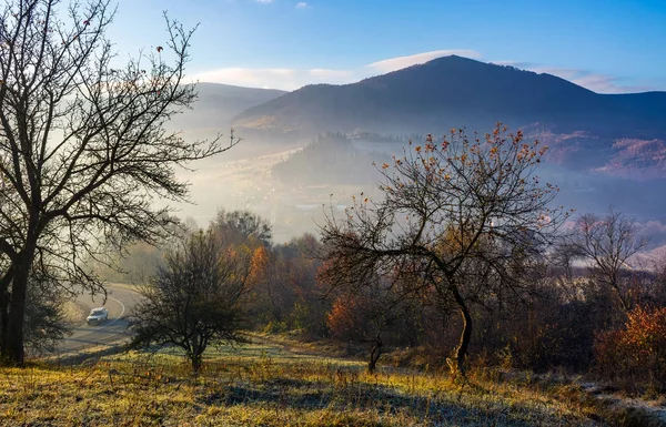 Pomar de maçã em montanhas ao nascer do sol de outono — Fotografia de Stock