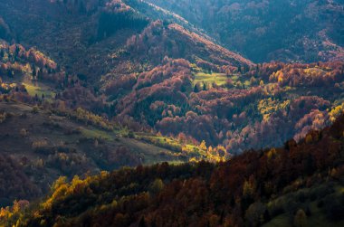 Güzel turuncu ve kırmızı yaprakları sonbahar ormanlık tepelerde. dağların muhteşem atmosferde