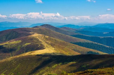 geç yaz aylarında dağ yamaçlar