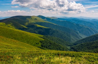 çimenli tepe yaz aylarında dağ üzerinde