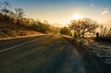 kırsal yol geç sonbahar gündoğumu sis içinde