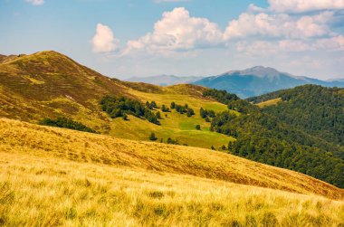tepeler orman ve yüksek tepe bir mesafe ile