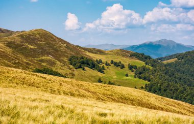 tepeler orman ve yüksek tepe bir mesafe ile