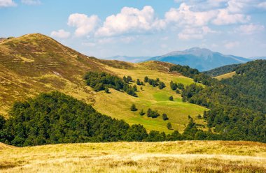 tepeler orman ve yüksek tepe bir mesafe ile