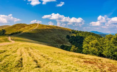 patika orman hills aracılığıyla