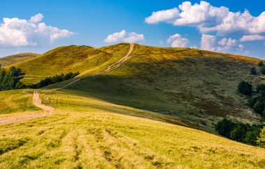 patika orman hills aracılığıyla