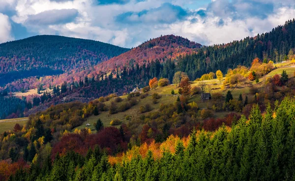 Sonbahar ormanda ile bir yamaca Köyü — Stok fotoğraf