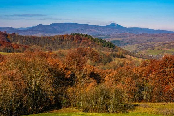 Kırsal kesimde tepelerde kırmızı yapraklar ile orman — Stok fotoğraf