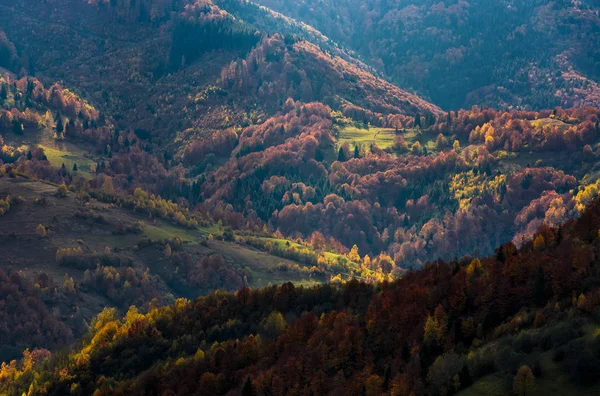 Hermoso Follaje Naranja Rojo Del Bosque Otoño Las Colinas Magnífico — Foto de Stock