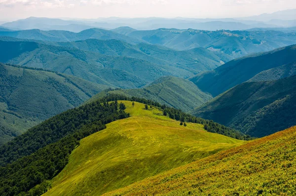 Prado gramado na montanha no verão — Fotografia de Stock