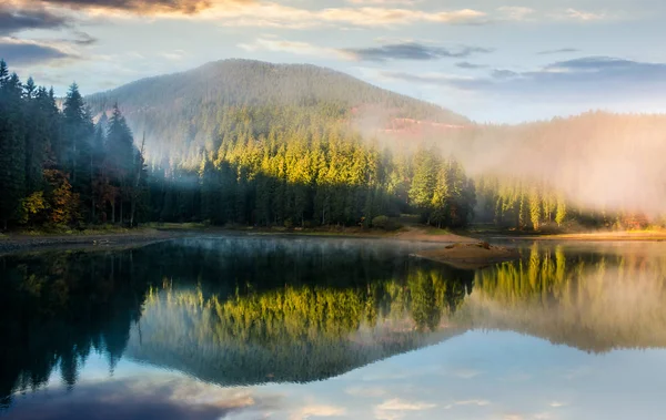 Prachtig mistige zonsopgang op het meer in het bos — Stockfoto