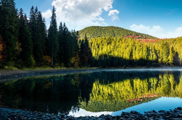 Mattina nebbiosa sul lago foresta in montagna — Foto Stock