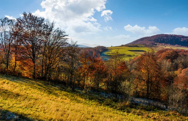 Late autumn countryside landscape — Stock Photo, Image