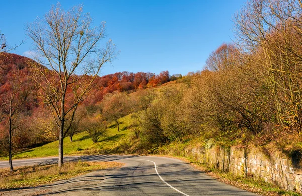 Árboles por la carretera a finales de otoño al amanecer — Foto de Stock